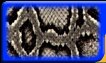 Python & Rattlesnake